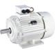 Vibration IEC Standard Motors En 60034 1 Motor Iec 34 1 Motor