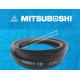SPB type MITSUBOSHI  Belts  SPC4900 Lw