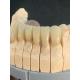 OEM Translucent Dental Zirconia Blank 3D Pro Dental Zirconia Block