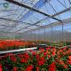 Arch Roof 10.8m PC Sheet Greenhouse Flower Growing