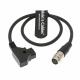 Custom Length - Anton Bauer Power Tap D - Tap To 12 Pin Hirose Cable B4 2 / 3 Lens