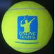 9.5'' Inflatable jumbo toy Tennis Ball,yellow big ball