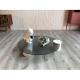 Water Ripple Glass Coffee Table Natural Marble Round Tempered Glass Table Top