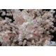 Elegant Artificial Cherry Blossom Tree Ornamental Function Fiberglass Trunk
