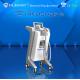 250khz vertical best effective 220V / 110V Hifu Slimming Machine For Fat Dissolved with medical CE