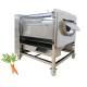 Large Scale Production Fruit Vegetable Processing Equipment with 220V Voltage