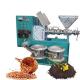 small stainless steel home use mini oil press machine/olive oil making machine