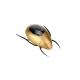 Customized Logo Solar Powered Toys Kids Plastic Solar Scarab Toy For Playing