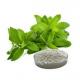 Natural Stevia Extract Powder Natural Health Food Additives Sugar Replacement