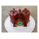 DUPLEX FUEL FILTER (INCLUDING FILTER ELEMENTS) MODEL - AS 25 - 0.25/0.16 CB/T425 - 94