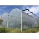 Agricultural Multi Span 10m 200 Micron Ldpe UV Film Greenhouse