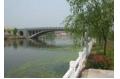 Travel in one pair of phoenix   s ancient towns  Suzhou of China