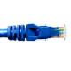 Blue Color Ethernet Patch Cable , Transmission Ethernet Patch Cord Velocity UTP Model