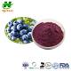 Blueberry Fruit Extract Powder Blueberry Powder 10% -25% Anthocyanidins CAS 84082-34-8