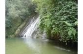 Gudong Waterfall