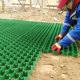High Molecular HDPE Plastic Grass Parking Grid Stall Grid Mats OEM