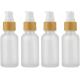 30ml Frosted Glass Lotion Bottle Travel Pump Bottles cosmetic glass bottle