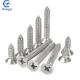 Affordable Grade 4.8/ 8.8/ 10.9/ 12.9 Ect SS304 Stainless Steel Self Tapping