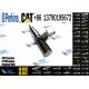 Cat 3116 injector 4p2995 10r-0782 0R-8682   127-8218 127-8222 107-7732 127-8205 127-8207