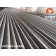 ASME SA213 ASTM A213 TP310S TP316L Pickled Stainless Steel Seamless Boiler Tube