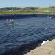 Single Texture Geomembrane for Landfill Sites Anti-Seepage and Pollution Prevention