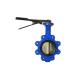 AWWA C504 Ductile Iron DI Butterfly Valve For Steel Work