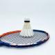 Best Quality 100% Carbon Dmantis Brand Badminton Rackets D9 Professional Factory OEM Available