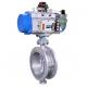 Chinese Butterfly Valve With Flowserve Logix 3800 Valve Positioner