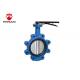 Soft Seal Double Eccentric Disc Butterfly Valve Blue Color With Handle Operated