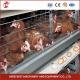 Galvanized Steel Poultry Battery Chicken Cage System For Layer Farm Ada
