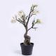 Magnolia Artificial Flower Tree Plasitc Silk High Density Outdoor Landscape