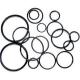 FPM Large Diameter Rubber O Rings Manufacturer