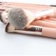 Complete Face And Eye Cosmetic Makeup Brush Set Champagne Gold Color