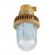 Chemical Factory Use Vapour Proof Led Lights 50W 60W Explosion Proof Light Fittings With EX