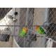Silver Wire Lightweight Aviary Netting With 30mm X 30mm Aperture