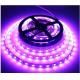 UL CE Rosh LED strips CRI97 purple color SMD5050 300LED IP66 led strip lamp 2700-6500K