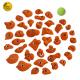39 pcs Most Economical Pack of GRP Indoor Mini Rock Climbing Holds GRP Reinforced