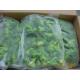 China Healthy Frozen Fruits And Vegetables Frozen Broccoli Florets Prevent Cancer
