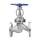 Stainless Steel Bellow Seal Globe Valve Flange Type OEM Acceptable
