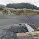 2m-8m Width HDPE LDPE LLDPE EPDM EVA Geomembrane Liner for Landfill Construction