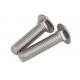 5/16  - 18 X 2  Stainless Steel Screws , Square Neck 316 Stainless Steel Carriage Bolts