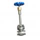 SS Stainless Steel Turky Cryogenic Globe Valve Customize Pressure CE / ISO9001 Approved