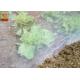 HDPE Material Agricultural Insect Netting 16 Mesh White Color Light Weight