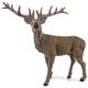 Wildlife Animal Model Deer Model Toy Collection Party Favors Toys