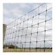Galvanized or Hot Dipped High Tensile Fixed Knot Cattle Fence Mesh Wire Length 10-200m