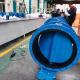 Double Flanged Butterfly Valve For Water