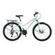 Mechanical Disc Brake 21 Speeds Steel Frame Mountain Road Bike for City Travel Bicycle