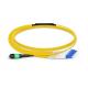XDK OS2 G652D 3.0mm 12 / 24 Core MPO Breakout Cable