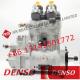 Genuine and New Diesel Fuel Injection Pump 094000-0631 For Komatsu 6219-71-1120