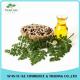 OEM & ODM Health Skin Care Herbal Extract Moringa Seed Oil
